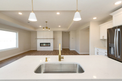 Kitchen Sink and Island